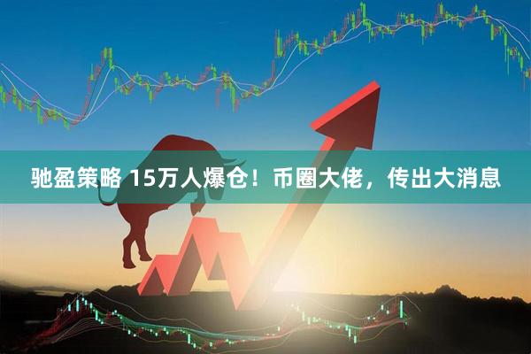 驰盈策略 15万人爆仓！币圈大佬，传出大消息